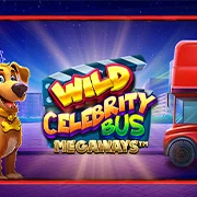 image wild celebrity bus